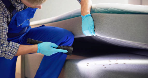 Best Best Pest Control Near Me  in Greenville, FL