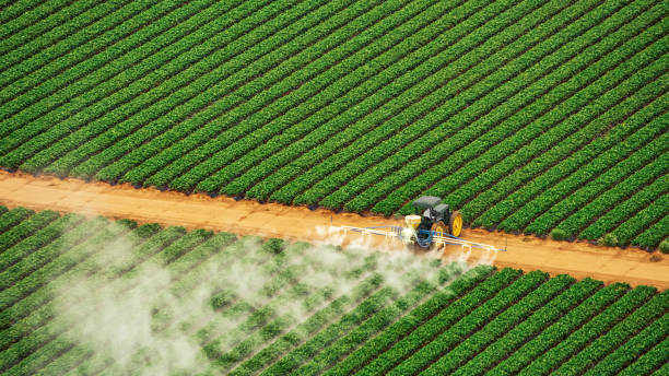 Best Pest Removal Services  in Greenville, FL