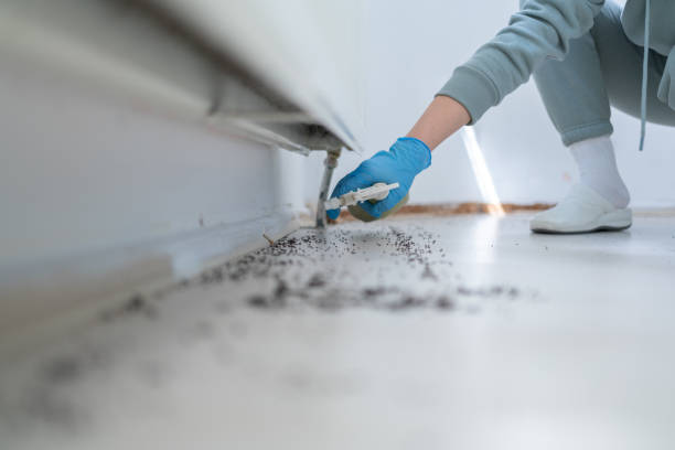 Best Cockroach Control Services  in Greenville, FL